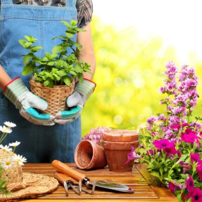 6 Health Benefits Of Gardening To Know About 