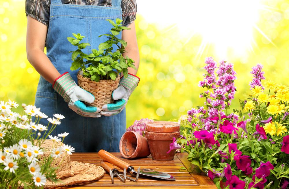 6 Health Benefits Of Gardening To Know About 