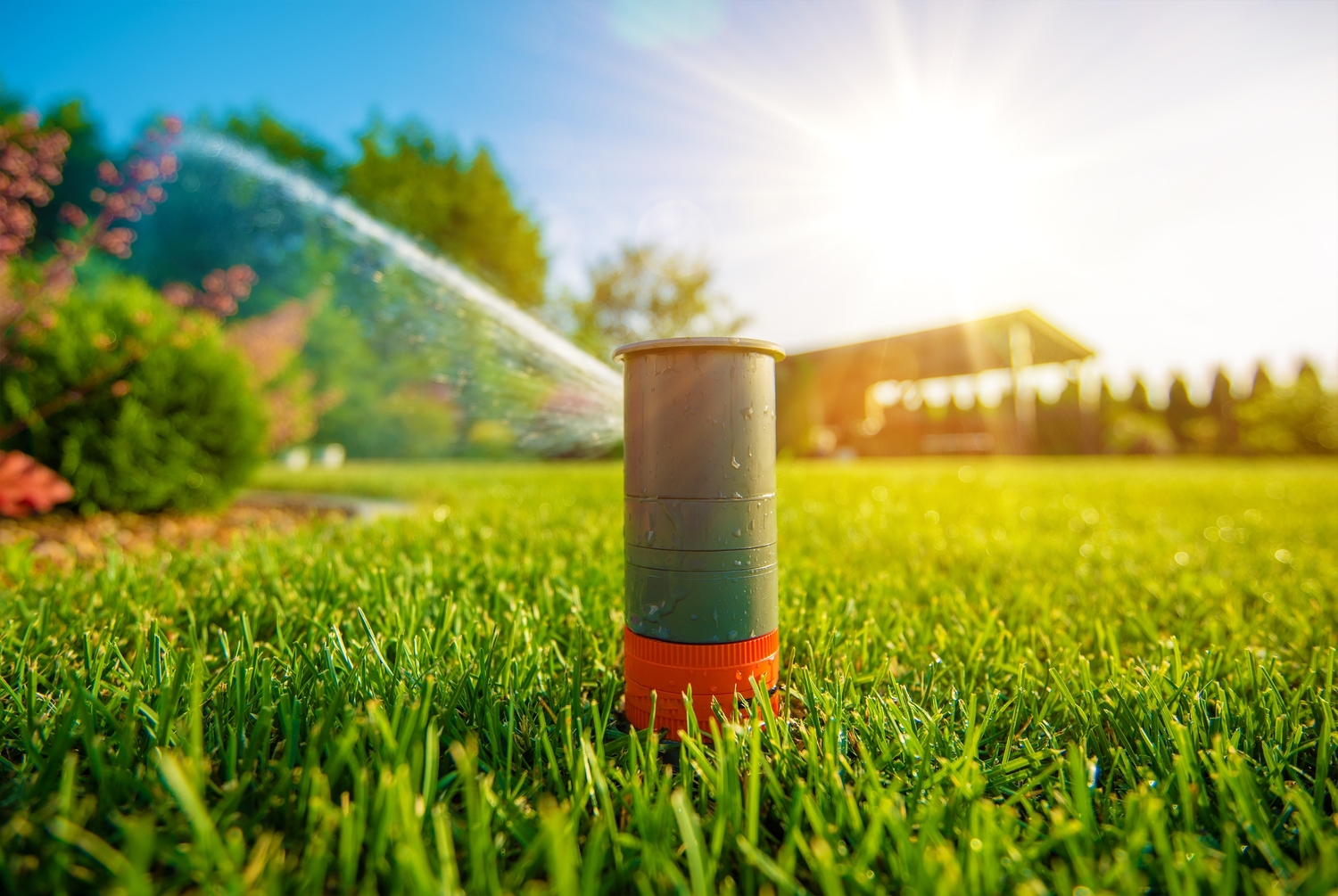 8 Tips for an Eco-Friendly Lawn