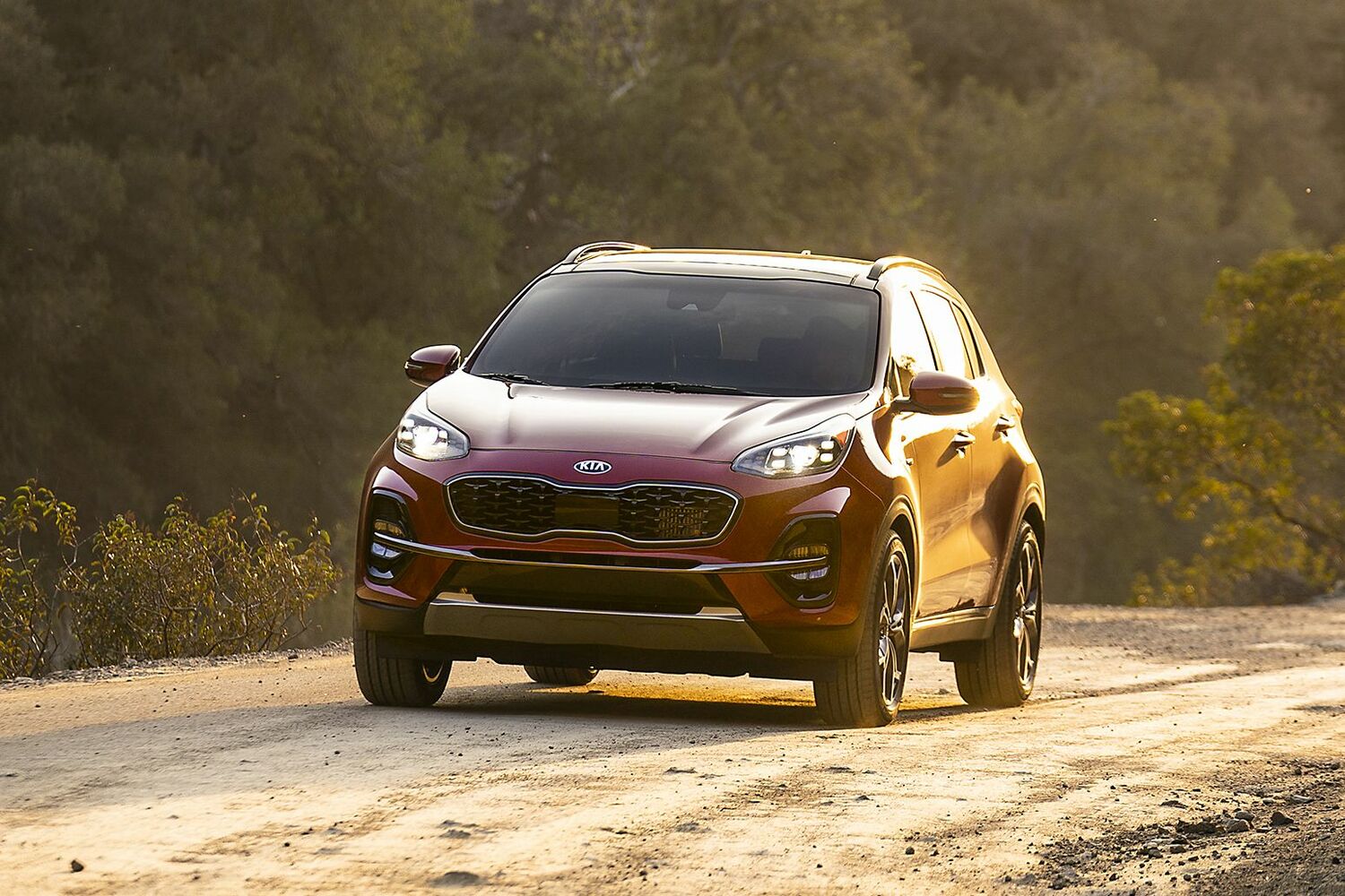 The Top SUV Brands for Safety (Ranked)